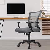 Yaheetech Dark Grey Ergonomic Office Chair Mid-Back Mesh Lumbar Support view 2