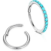WBRWP Nose Rings Hoops for Women: 2pcs 316L Surgical Steel 16G 18G 20G Nose Piercing Jewelry 8mm 10mm Septum Lip Rings Conch Earrings Hoop