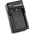 EN-EL9 Wall Charger for Nikon D3000, D40, D40x, D5000, D60 and More with Foldable Plug
