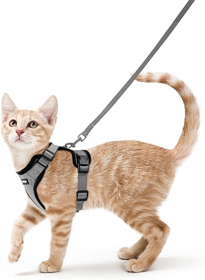rabbitgoo Cat Harness and Lead Set Adjustable Escape Proof Harness Grey S