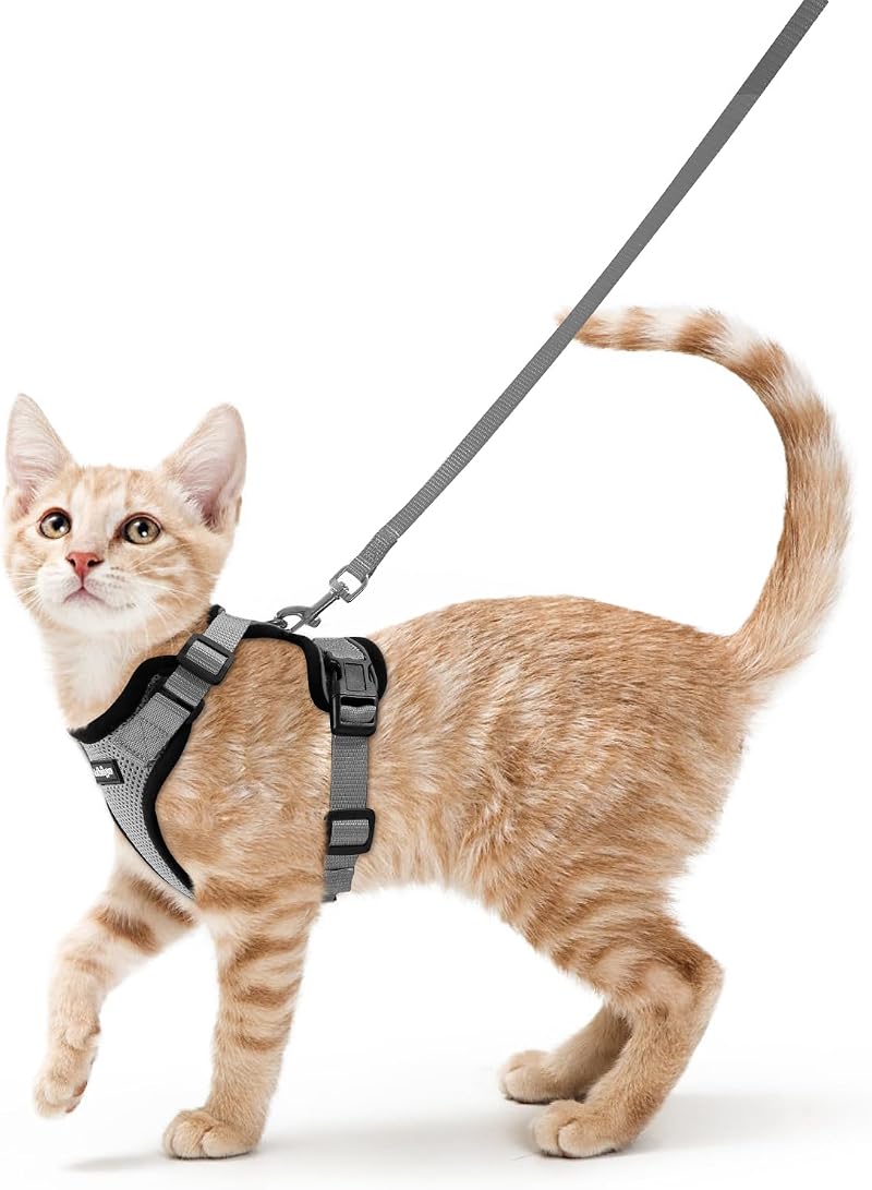 rabbitgoo Cat Harness and Lead Set Adjustable Escape Proof Harness Grey S