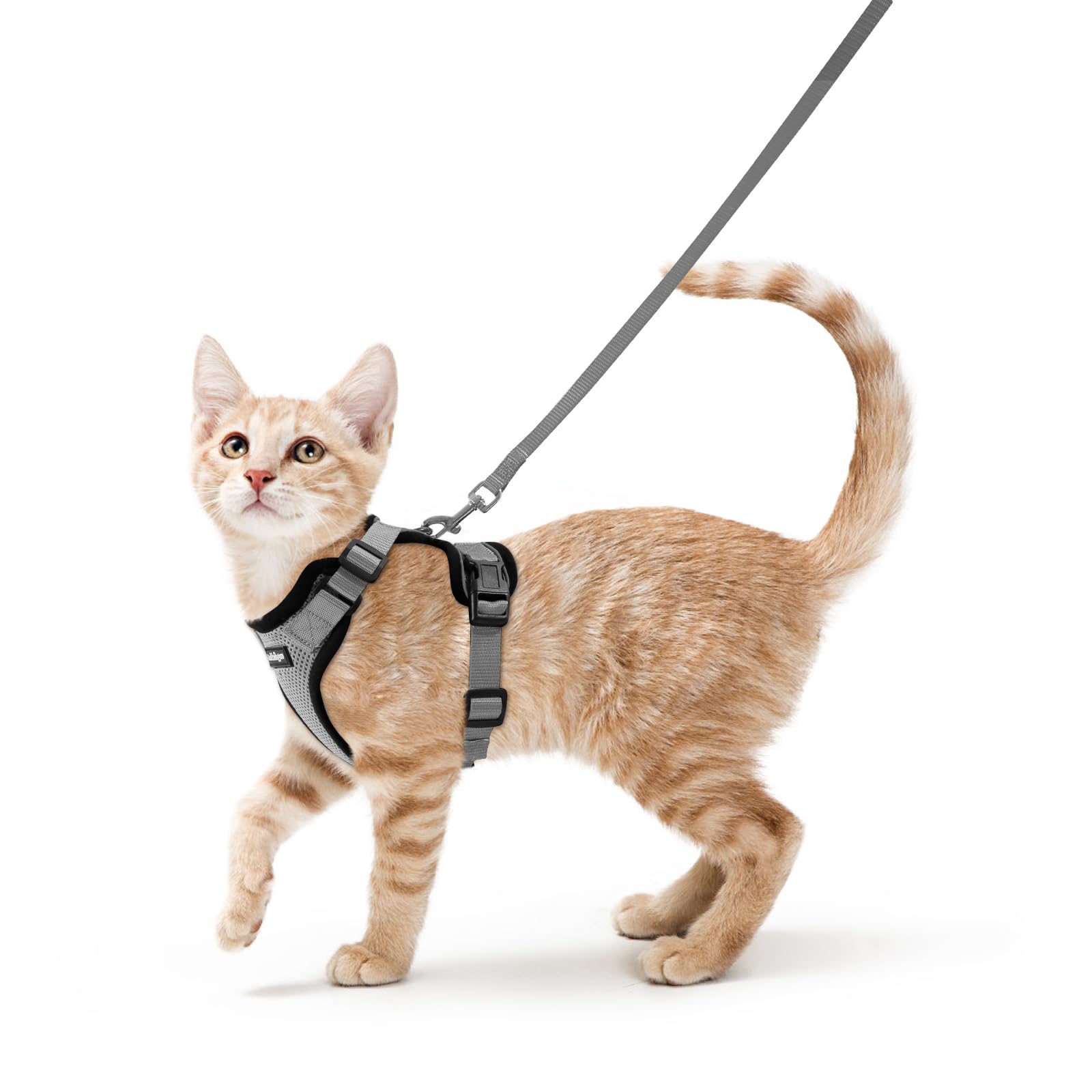 rabbitgoo Cat Harness and Lead Set, Escape Proof Kitten Harness with Leash, Metal Ring, Lightweight Soft, Reflective Adjustable Vest for Small Cat Walking Travel XS (Pack of 1), Grey