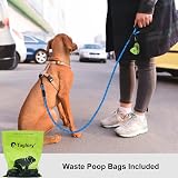 Taglory Rope Dog Lead 1.0 cm Reflective Padded Handle Blue 1.2 m view 2