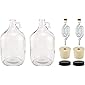 North Mountain Supply - 1G-38-ST-TB-2 1 Gallon Glass Fermenting Jug with Handle, 6.5 Rubber Stopper, Twin Bubble Airlock…