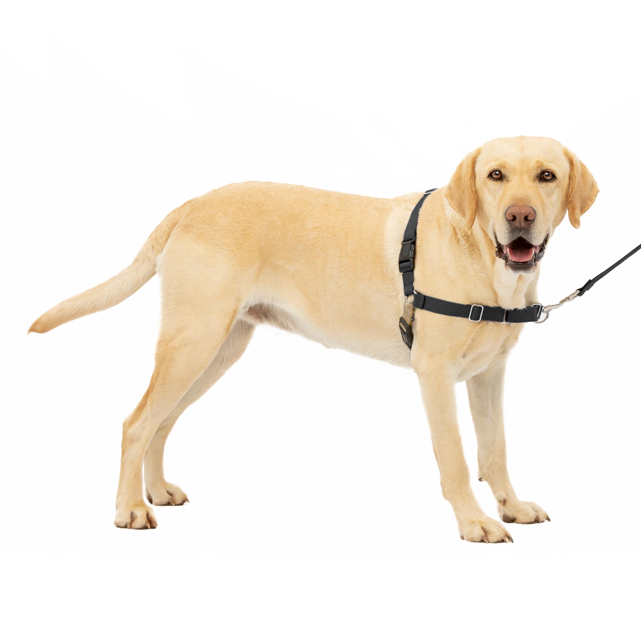 Pet Safe Easy Walk Dog Harness, Large, Black — image 1