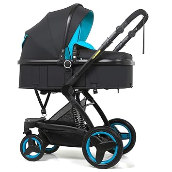 pushchair for 2 year old and newborn