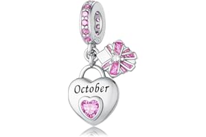HappyStar 925 Sterling Silver Happy Birthday Bead Charm Love Heart Shape Birthstone Charms for Bracelets Dangle Pendant with 