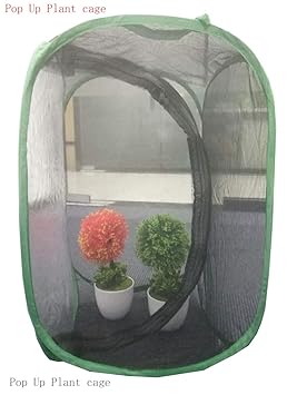 1 pack Pflanzen Gewächshaus Transparent Wasserdicht Anbau Zimmer Anti-moskito Box Schmetterling Pet Cage wachsen zelt, Mini Gewächshaus Wachsen Haus