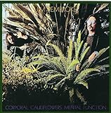 Corporal Cauliflower's Mental Function