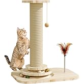 Cat Scratching Post, Small Scratching Post with Vertical Scratcher and Tracking Interactive Ball for Kittens