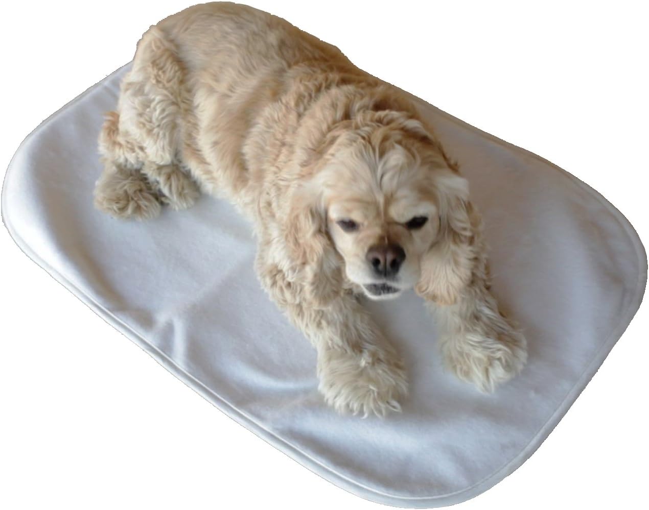 Ancol Sleepy Paws Self Heating Pad 2025