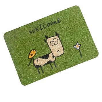 Amazon De Haodasi Weiches Innen Fussmatte Footcloth Fuss Teppich