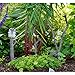 Top Collection Miniature Fairy Garden Two Frogs Relaxing on Branch & Planter Stake Statue, Small