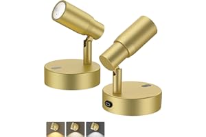 PESUTEN Spot Lights Indoor, Rechargeable Picture Light with Remote, Dimmable CCT Spotlight for Wall Art, 6000mAh Battery Uplights Indoor with Timer for Plant Artwork Painting Sofa Corner Light Gold