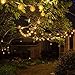 AMIR Solar Powered String Lights Lantern, 20 LED 16ft Length, Starry String,Globe Lights, Indoor/Outdoor Waterproof Solar Decoration Lights for Gardens, Home, Dancing, Party (Warm White)