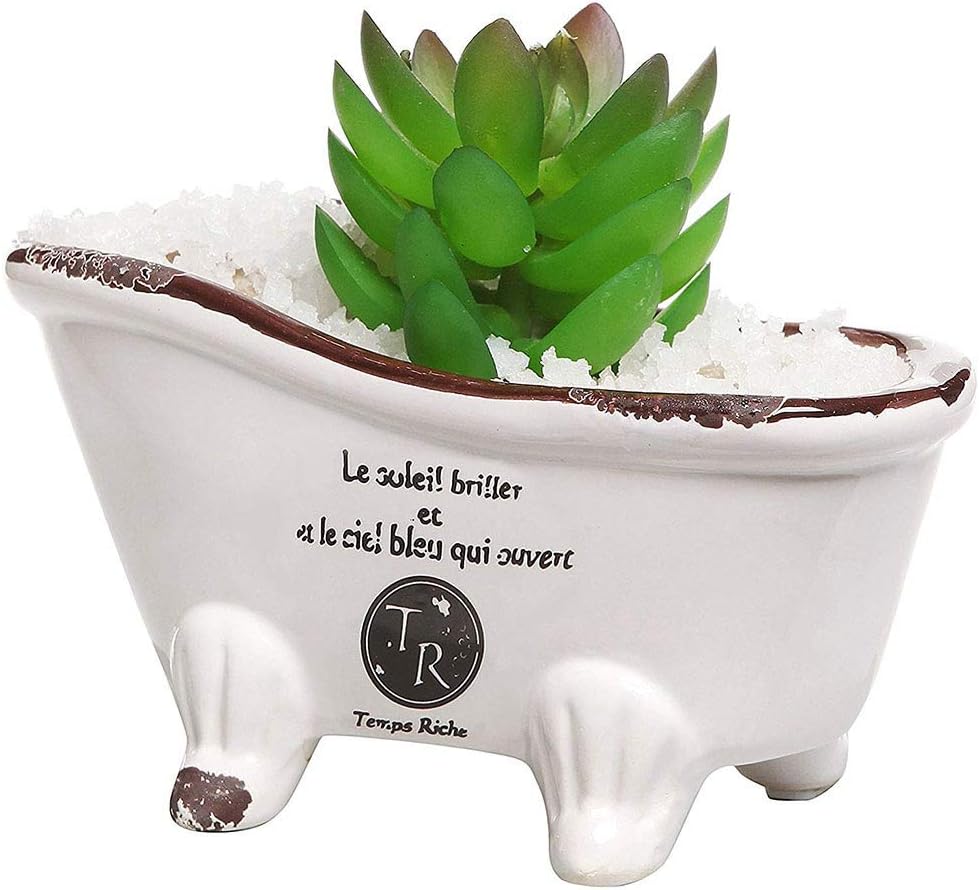 Sunshay White Vintage Porcelain Pot Planters,French Country Style Bathtub Flower Pot,Bathtub Succulent Planter,Claw Foot Bathtub Flower Pot Planter