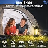 Flintronic Camping Lanterns 2 Pack Retro Battery Powered IPX4 Waterproof view 3