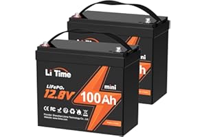 LiTime 12V 100Ah MINI LiFePO4 Lithium Battery (2 pack), Upgraded 100A BMS, Up to 15000 Cycles, Max. 1280Wh Energy LiFePO4 Bat