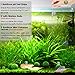 SunGrow pH Test Strip Kit for Bettas and Aquariums