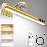 Hapfish Picture Lights for Wall Battery