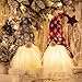 GMOEGEFT Scandinavian Christmas Gnome Lights, Swedish Santa Tomte Gnome, Nordic Xmas Decoration - Set of 2(B)