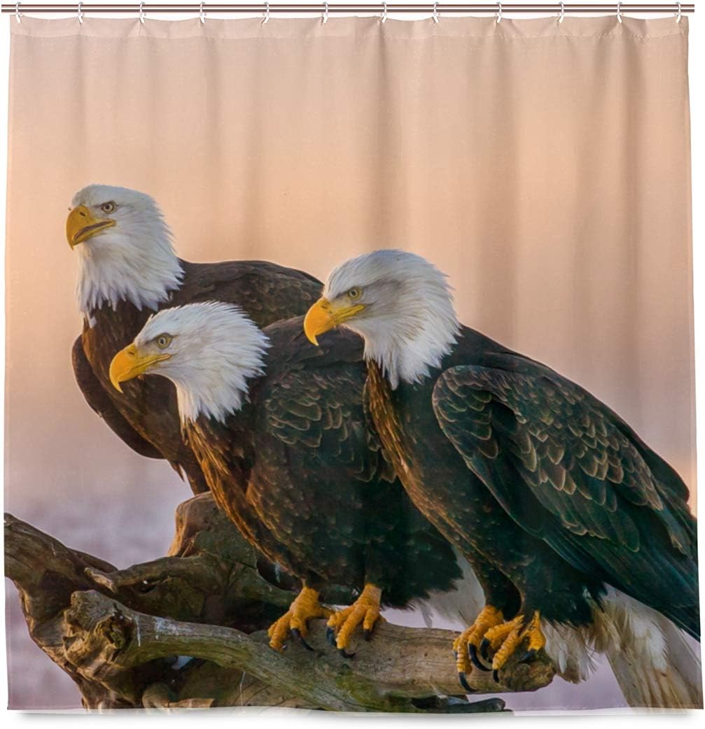 Amazon Com Colourlife Shower Curtains Eagles Perch On Tree Polyester Waterproof Bath Curtain For Bathroom Kids Bathroom Decor 72 X 72 Inches Home Kitchen