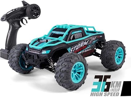 electric off road buggy