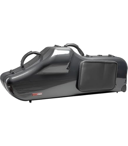 Amazon.com: Baritone Saxophone Case (Bb & Low A), ABS Shell