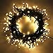 PMS 300 LED Warm White String Fairy Lights on Dark Green Cable with 8 Light Effects and Memory Function, Low Voltage Transformer Included, UL Listed. Ideal for Christmas, Xmas, Party, Wedding, etc.