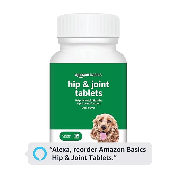 AMAZON BASICS DOG HIP & JOINT DAILY CHEWABLE TABLETS, WITH GLUCOSAMINE, MSM, AND CHONDROITIN, DUCK FLAVORED, 120 COUNT (PREVIOUSLY SOLIMO)