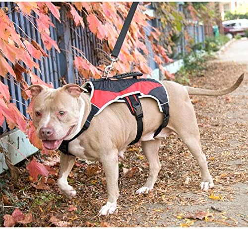 Mesh dog harness fitting around a dog's chest girth.