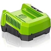 NEPOWILL 4.0A Replacement Rapid Charger for Greenworks 80V Battery Charger GCH8040 2958602AZ 2964602 GCH8020 2936802, Compatible with Greenworks Pro 80V Battery GBA80200 GBA80250 GBA80400 GBA80500