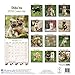 Shiba Inu Calendar - Dog Breed Calendars - 2017 - 2018 wall Calendars - 16 Month by Avonside