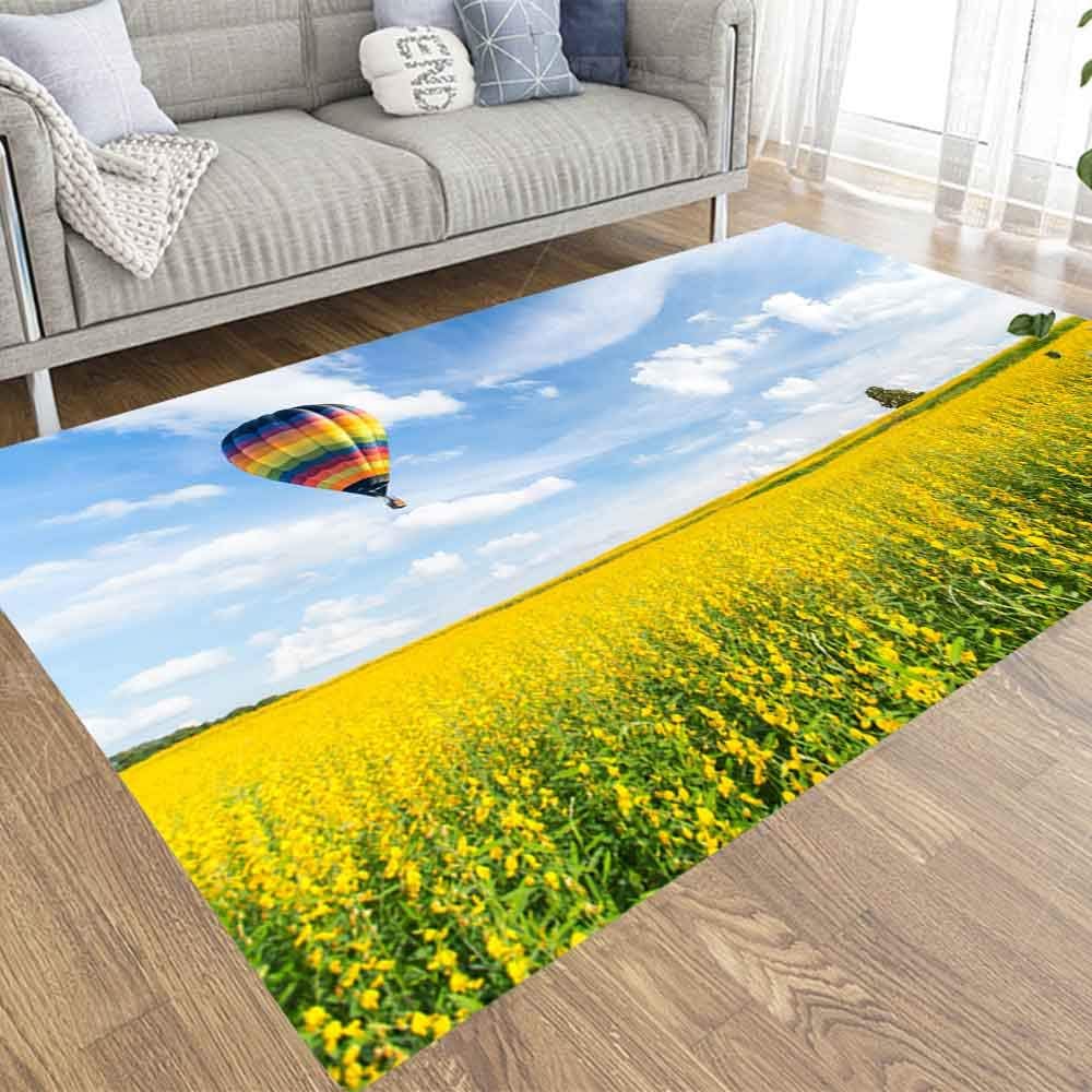 Musesh 2X3 Area Rug Small Area Rug Outdoor Area Rug Modern