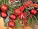 AMS 34ct Christmas Ball Mini Ornaments Party Decorations Shatterproof Festival Pendant Hangings for Xmas Tree Decor(1.57''/40mm,Red)
