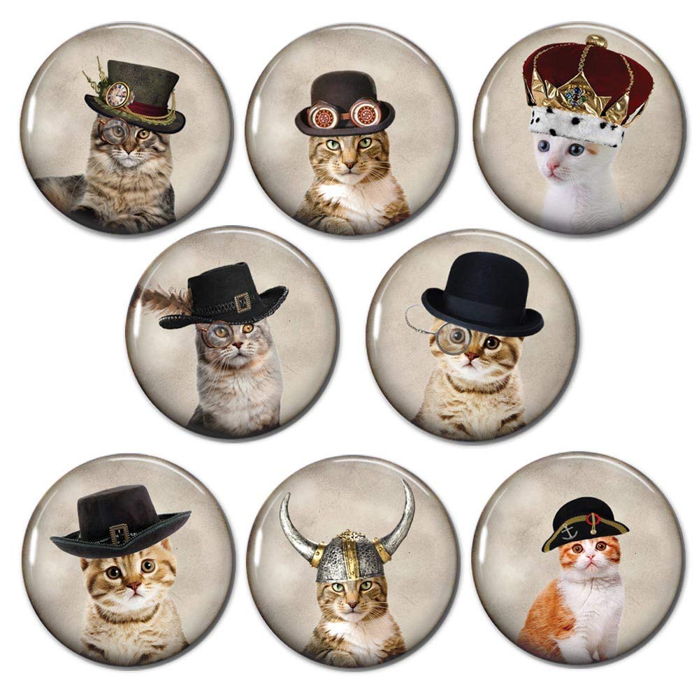 Knuttys Knobs - Juego de 8 imanes para Nevera con diseño de Gatos ...