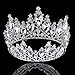 Vintage Rhinestones Crystal Crown for Women Wedding Bridal Tiara Flower Crown Hair Accessories (silver-white)