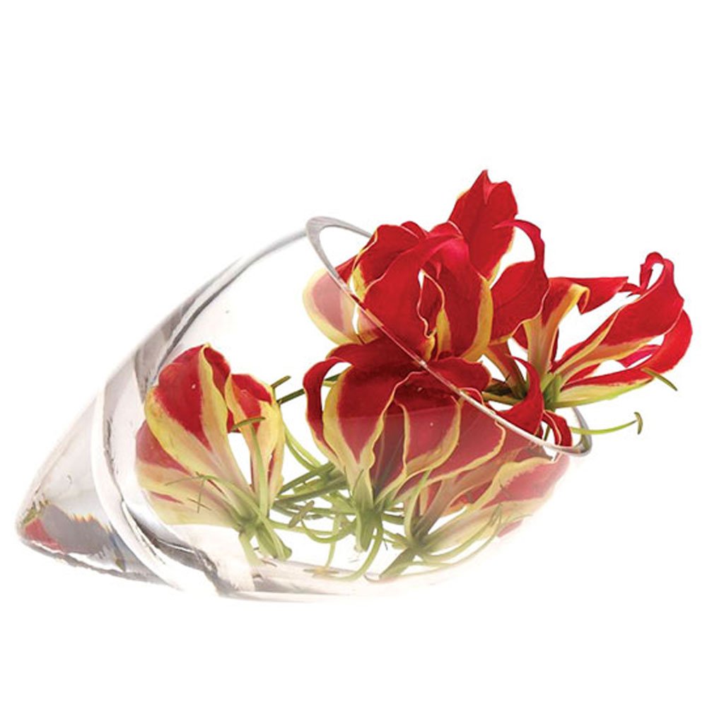 Chive - Large Lot Unique Glass Flower Vase, Elegant Low Profile Cornucopia Conical Shaped Design