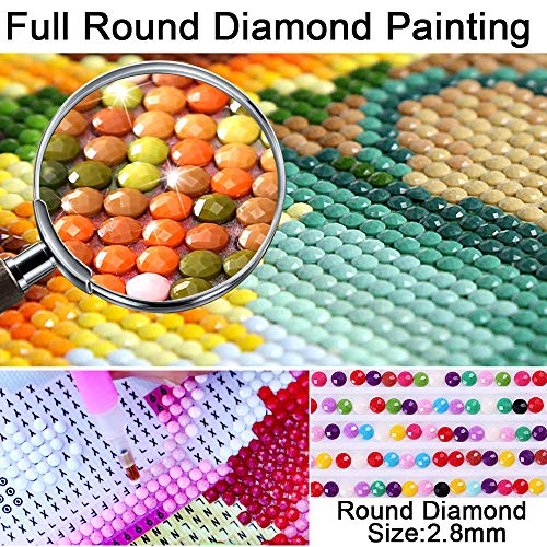DIY 5D Diamond Painting Number Set 12X16 Inch, Full Round Drill Diamond