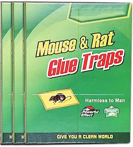 Trexee Rat and Mouse Trap Rat Glue Mouse Insect Rodent Lizard Trap Rat Catcher Adhesive Sticky Glue Rat Pad Mouse Glue Pack of 3 Live Trap