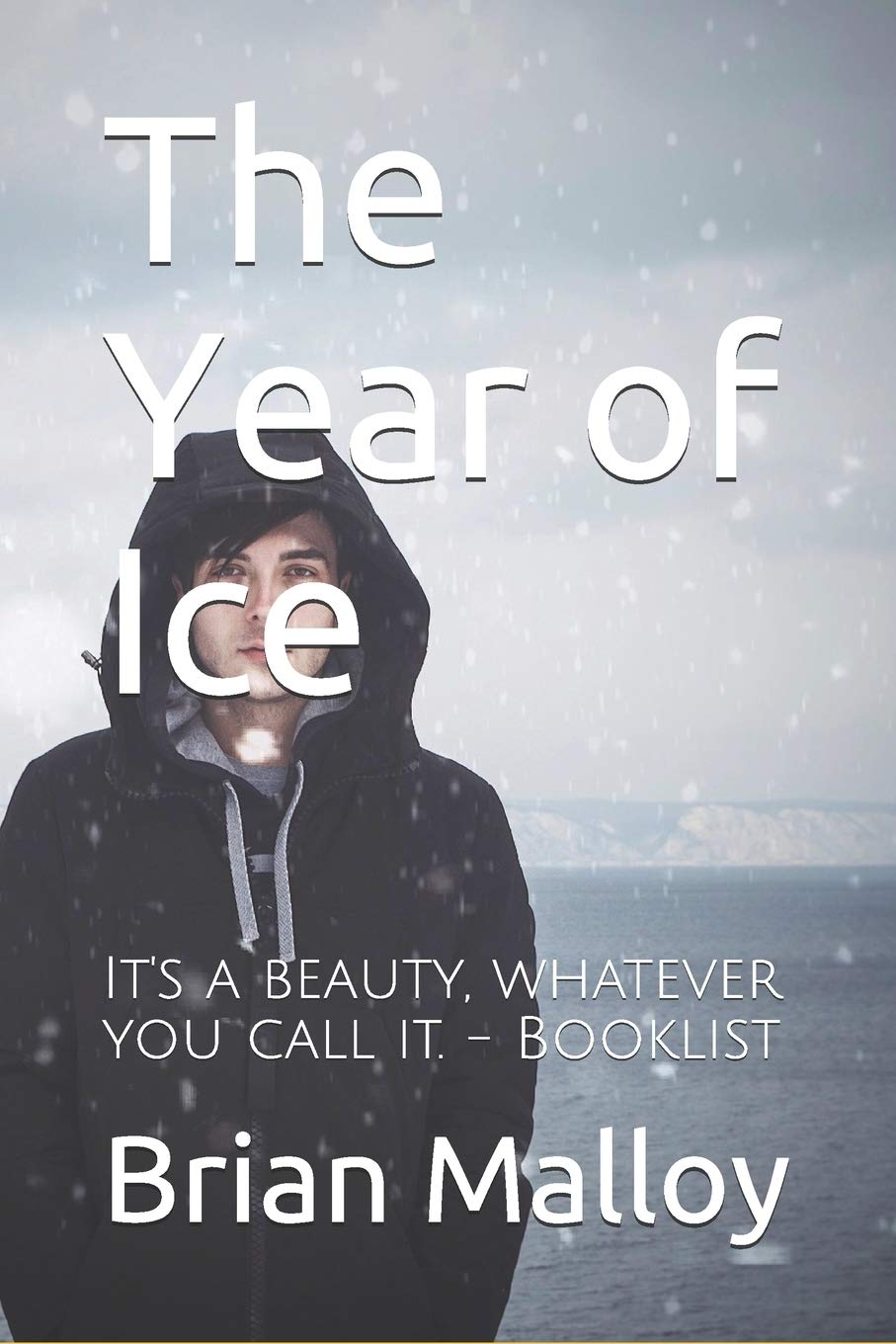 Amazon Com The Year Of Ice 9781735330105 Malloy Brian Books