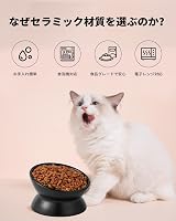 LoeJan Elevated Cat Food Bowl 5 Oz Ceramic Raised Tilted 2 Pack Black view 5