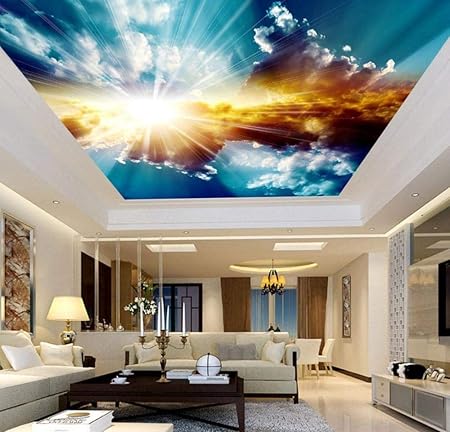 Amazon Com 3d Ceiling Murals Wallpaper Blue Sky And White Clouds
