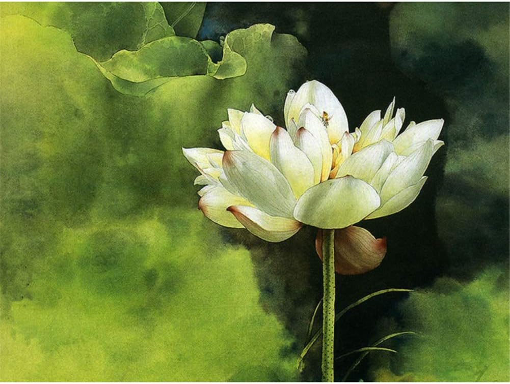 KANGDISON Painting by Number White Lotus, Drawing DIY Paint by Number Kits for Adults Beginners Kids Teens Drawing with Brushes Canvas Orange Yelllow Brown 16 x 20inch / 40 x 50cm
