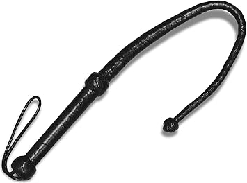 Ich moechte eine brandneue peitsche