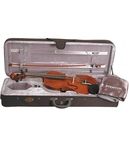 Amazon.com: Stentor, 4-String Viola - Acoustic (1505 14) : Musical