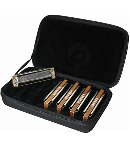 Amazon.com: Hohner M1896116X Marine Band Classic Bb Harmonica