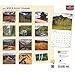Colorado, Wild & Scenic 2017 Deluxe Wall Calendar 12