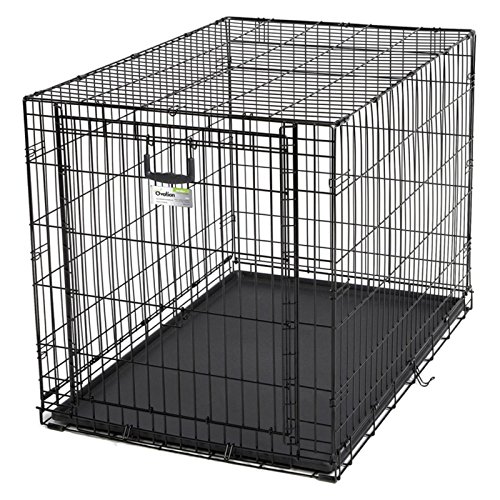 Midwest Ovation Dog Crate with Up and Away Door Extra Large Pricepulse