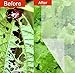Agfabric Garden Netting 10'x10' Insect Pest Barrier Bird Netting for Garden Protection,Row Cover Mesh Netting for Vegetables Fruit Trees and Plants,White